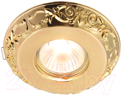 Точечный светильник Maytoni Metal DL300-2-01-G