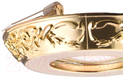 Точечный светильник Maytoni Metal DL300-2-01-G