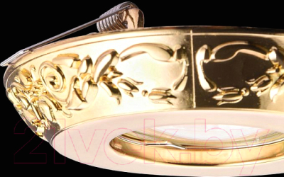 Точечный светильник Maytoni Metal DL300-2-01-G