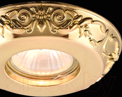 Точечный светильник Maytoni Metal DL300-2-01-G