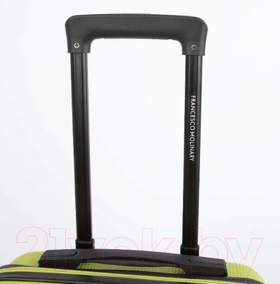 Чемодан на колесах Francesco Molinary 341-AT309/3-23GRN