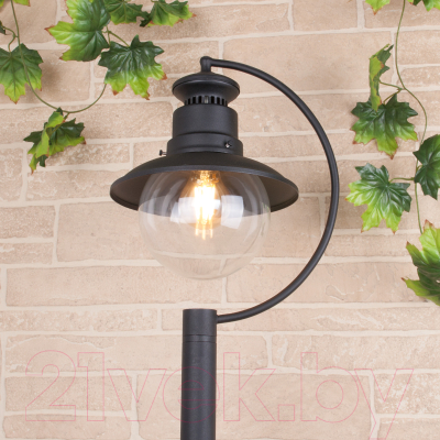 Фонарь уличный Elektrostandard Talli F GL 3002F