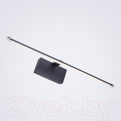 Подсветка для картин и зеркал LED4U L6389-570 BK