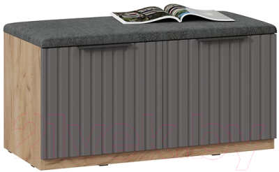 Тумба для обуви ТриЯ Хилтон Исп.2.2 (дуб крафт золотой/графит матовый)