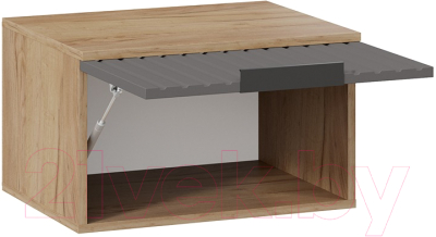 Шкаф навесной ТриЯ Хилтон Исп.2.1 (дуб крафт золотой/графит матовый)
