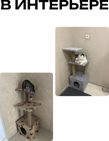 Комплекс для кошек Kogtik Венди со складным домиком / СД ms