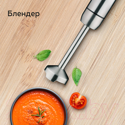 Блендер погружной BQ HB1032SS (черный/сталь)