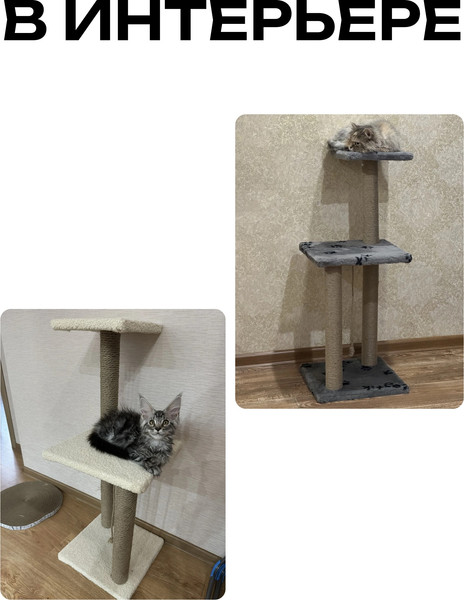 Комплекс для кошек Kogtik Триола / СД m