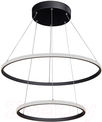 Потолочный светильник Vitaluce V04600-13/2S - фото