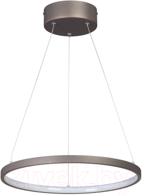 Потолочный светильник Vitaluce V04600-93/1S - фото