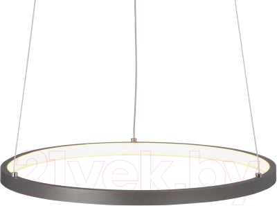 Потолочный светильник Vitaluce V04600-93/1S