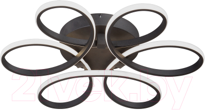 Потолочный светильник Vitaluce V04618-13/6PL - фото