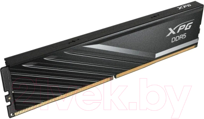 Оперативная память DDR5 A-data AX5U5600C4616G-SLABBK