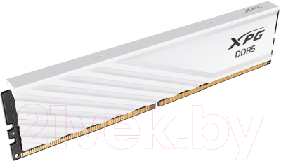 Оперативная память DDR5 A-data AX5U5600C4616G-SLABWH