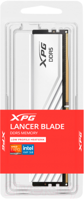 Оперативная память DDR5 A-data AX5U5600C4616G-SLABWH