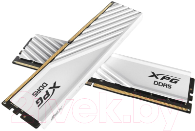 Оперативная память DDR5 A-data AX5U5600C4616G-DTLABWH