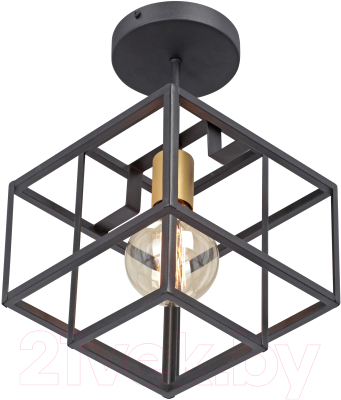 Потолочный светильник Vitaluce V3975-1/1PL