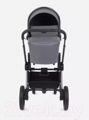 Детская универсальная коляска Rant Flex Pro 3 в 1 2023 / RA075