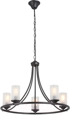 Люстра Vitaluce V1861-1/5 - фото