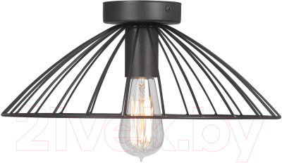 Потолочный светильник Vitaluce V3036-1/1PL