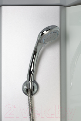 Душевая кабина Niagara Eco E100/13/MT 100x100x215