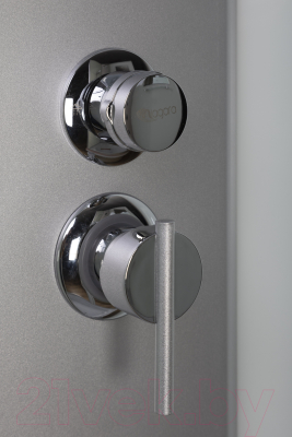 Душевая кабина Niagara Eco E100/13/MT 100x100x215