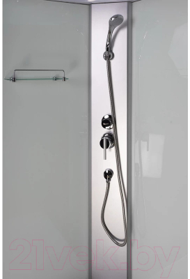 Душевая кабина Niagara Eco E90/40/MT 90x90x215