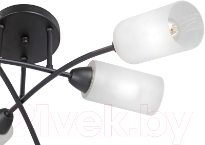 Люстра Vitaluce V4188-1/6PL