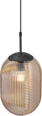 Потолочный светильник Vitaluce V2817-1/1S