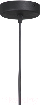 Потолочный светильник Vitaluce V2942-1/1S