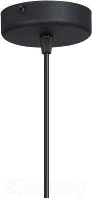 Потолочный светильник Vitaluce V2977-1/1S