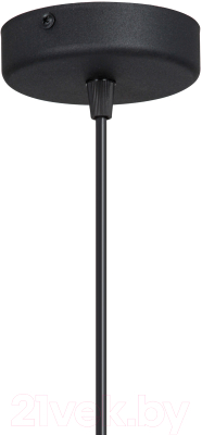 Потолочный светильник Vitaluce V2980-1/1S