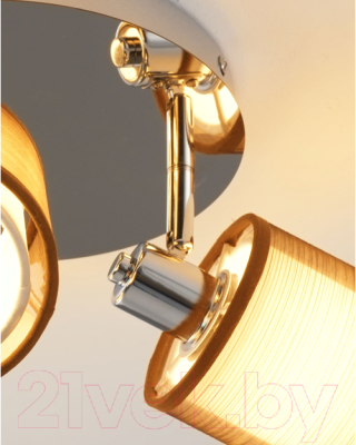 Спот Moderli Room / V10627-3C