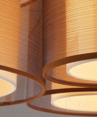 Потолочный светильник Moderli Room / V10623-3C