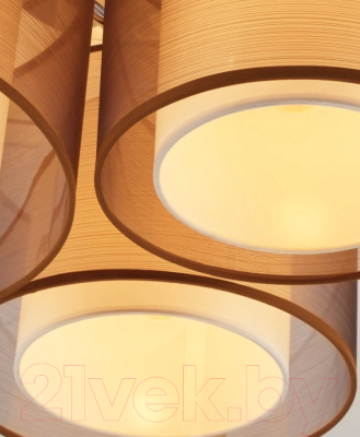 Потолочный светильник Moderli Room / V10623-3C