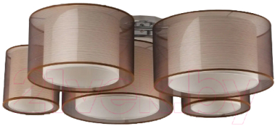 Потолочный светильник Moderli Room / V10624-5C - фото