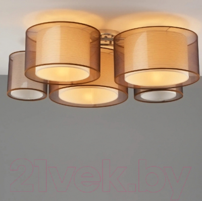 Потолочный светильник Moderli Room / V10624-5C