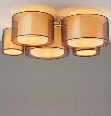 Потолочный светильник Moderli Room / V10624-5C