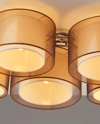 Потолочный светильник Moderli Room / V10624-5C