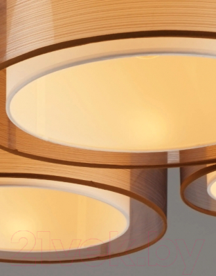 Потолочный светильник Moderli Room / V10624-5C