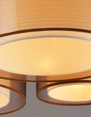 Потолочный светильник Moderli Room / V10624-5C