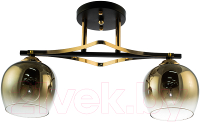 Потолочный светильник Aitin-Pro НПБ 02-2x60-101 / N4744/2 - фото