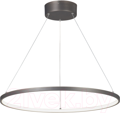 Потолочный светильник Vitaluce V4665-2/1S - фото