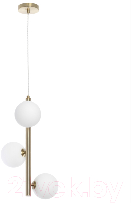 Потолочный светильник Citilux Рунд CL205130N