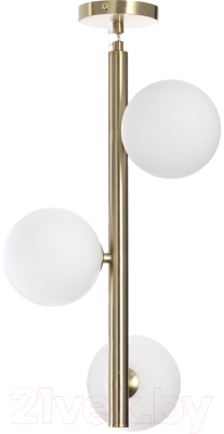 Потолочный светильник Citilux Рунд CL205130N