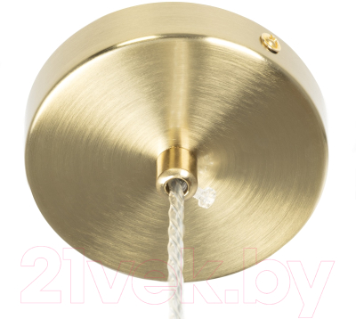 Потолочный светильник Citilux Рунд CL205130N