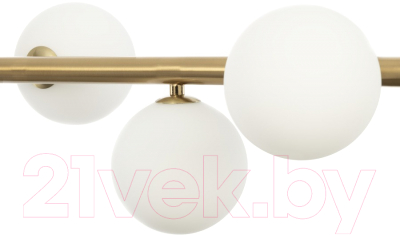 Потолочный светильник Citilux Рунд CL205290N