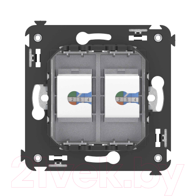 Розетка DKC Avanti / 4404614