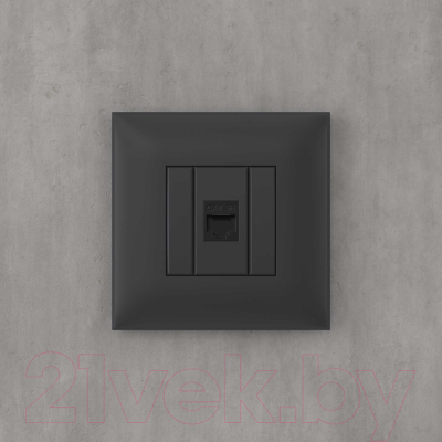 Розетка DKC Avanti RJ-45 / 4412663