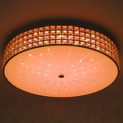 Потолочный светильник Citilux Портал CL32410G1